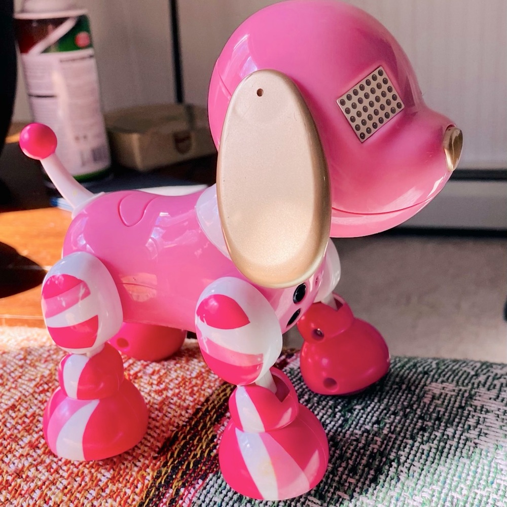 Robotic Dog